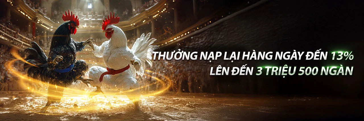 Chương trình Đối tác 5mb bet